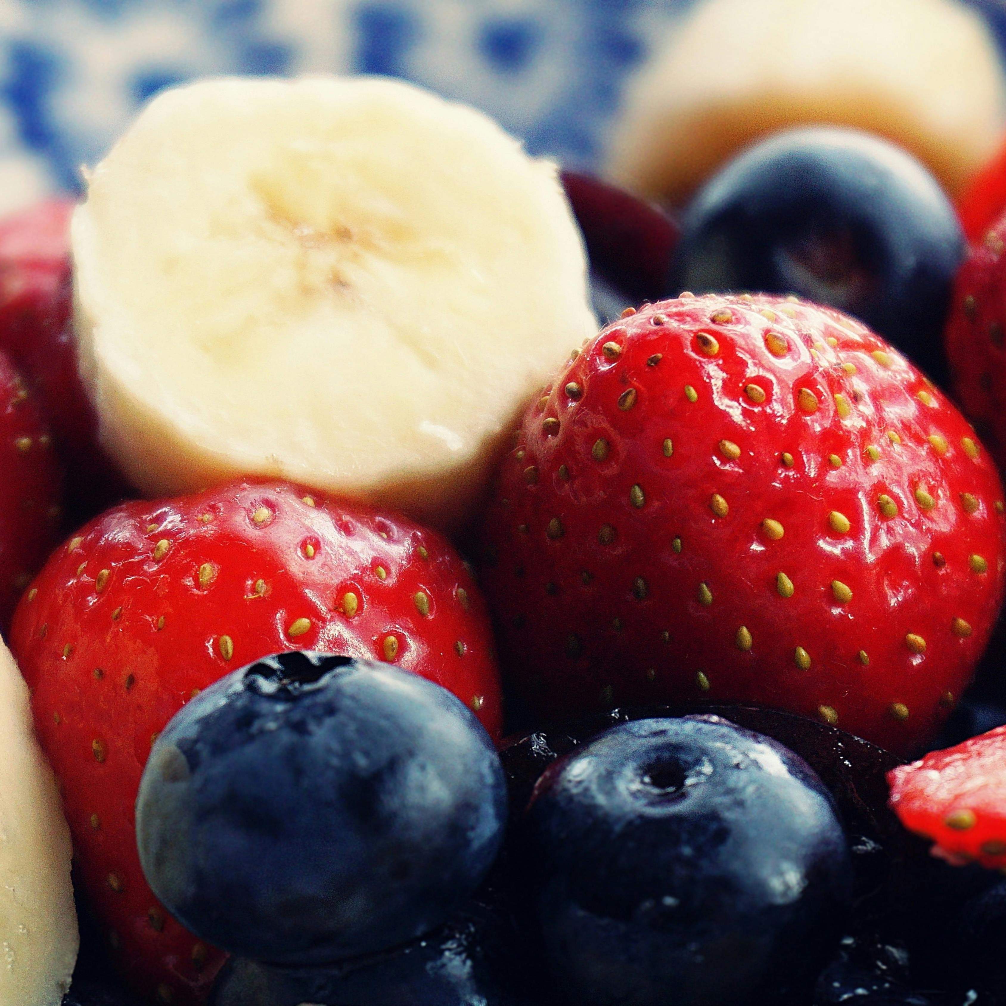 Nutrition icon